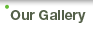 Our Gallery